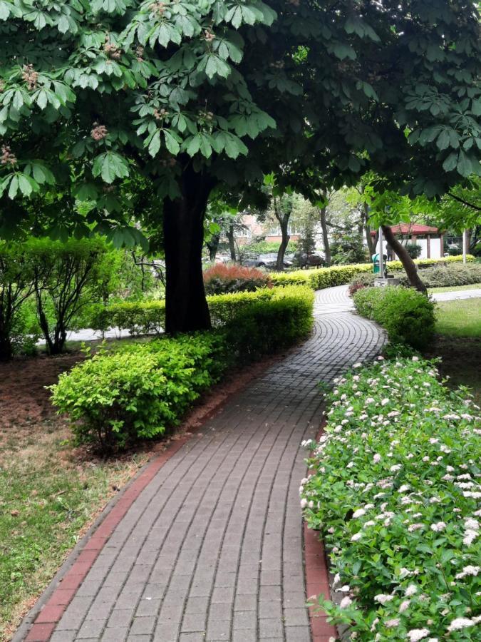 Apartament W Centrum Wroclawia Apartment Ruang foto